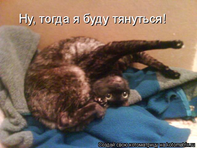 Ну, тогда я буду тянуться!... Котоматрица: Ну, тогда я буду тянуться!