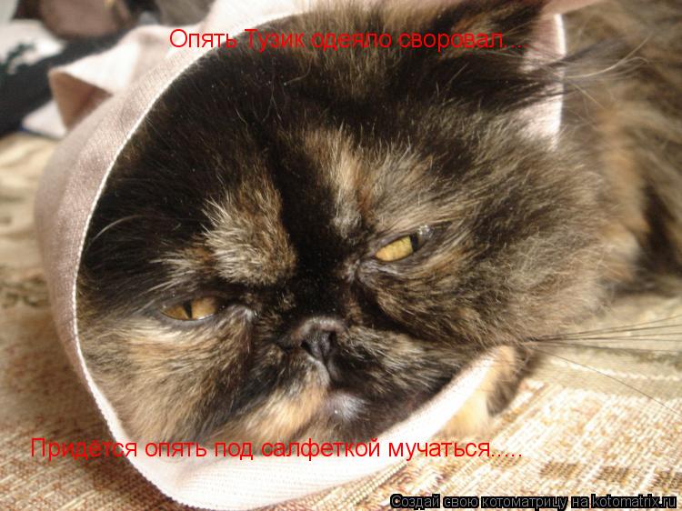 Опять Тузик одеяло своровал.... Придётся опять под салфеткой мучаться........ Котоматрица: Опять Тузик одеяло своровал.... Придётся опять под салфеткой мучаться.....