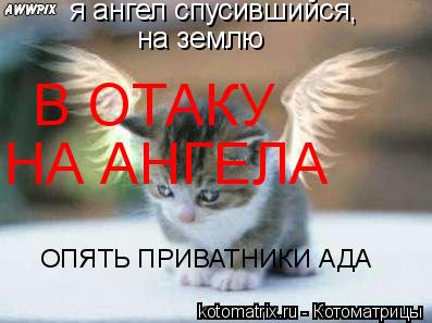 я ангел спусившийся, на землю В ОТАКУ НА АНГЕЛА ОПЯТЬ ПРИВАТНИКИ АДА... Котоматрица: я ангел спусившийся, на землю В ОТАКУ НА АНГЕЛА ОПЯТЬ ПРИВАТНИКИ АДА