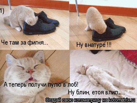 Че там за фигня... Ну внатуре !!! А теперь получи пулю в лоб! Ну блин, етоя влип..... 1)... Котоматрица: Че там за фигня... Ну внатуре !!! А теперь получи пулю в лоб! Ну блин, етоя влип..... 1)