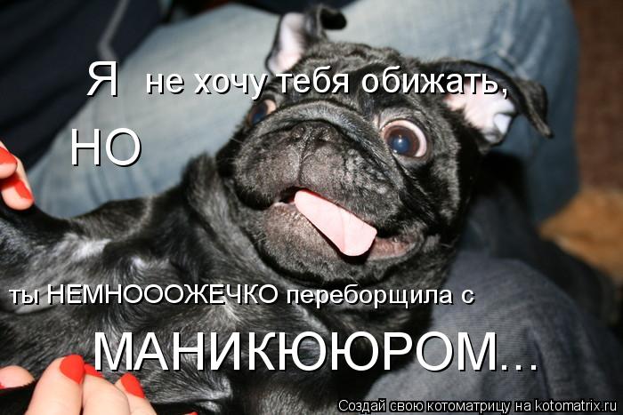 не хочу тебя обижать, НО ты НЕМНОООЖЕЧКО переборщила с Я МАНИКЮЮРОМ...... Котоматрица: не хочу тебя обижать, НО ты НЕМНОООЖЕЧКО переборщила с Я МАНИКЮЮРОМ...