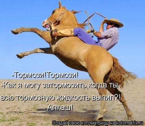 -Тормози!Тормози! -Как я могу затормозить,когда ты всю тормозную жидкость выпил?! Алкаш!... Котоматрица: -Тормози!Тормози! -Как я могу затормозить,когда ты всю тормозную жидкость выпил?! Алкаш!