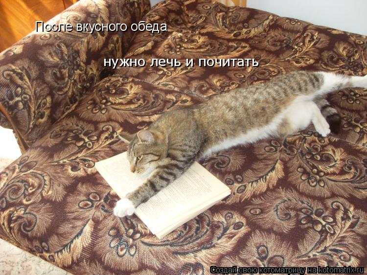 После вкусного обеда нужно лечь и почитать... Котоматрица: После вкусного обеда нужно лечь и почитать
