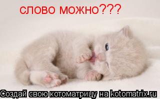 слово можно???... Котоматрица: слово можно???