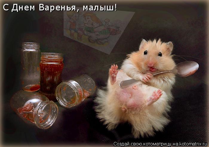 С Днем Варенья, малыш!... Котоматрица: С Днем Варенья, малыш!