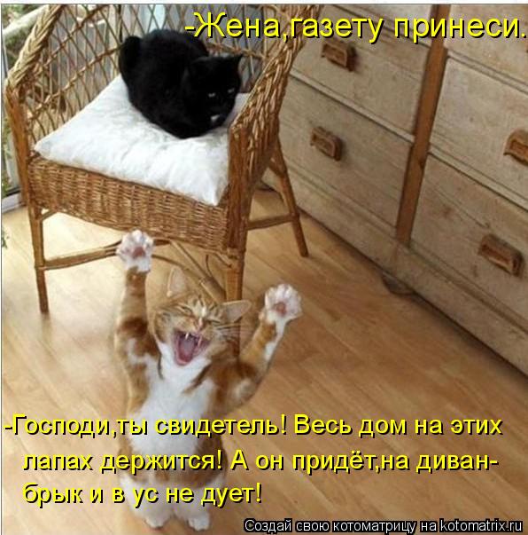 -Жена,газету принеси. -Господи,ты свидетель! Весь дом на этих брык и в ус не дует! лапах держится! А... Котоматрица: -Жена,газету принеси. -Господи,ты свидетель! Весь дом на этих брык и в ус не дует! лапах держится! А он придёт,на диван-