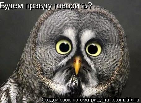 В глаза смотри Будем правду говорить?... Котоматрица: В глаза смотри Будем правду говорить?