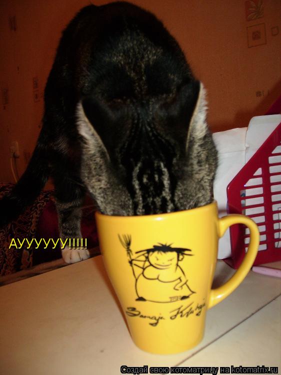 АУУУУУУ!!!!!... Котоматрица: АУУУУУУ!!!!!