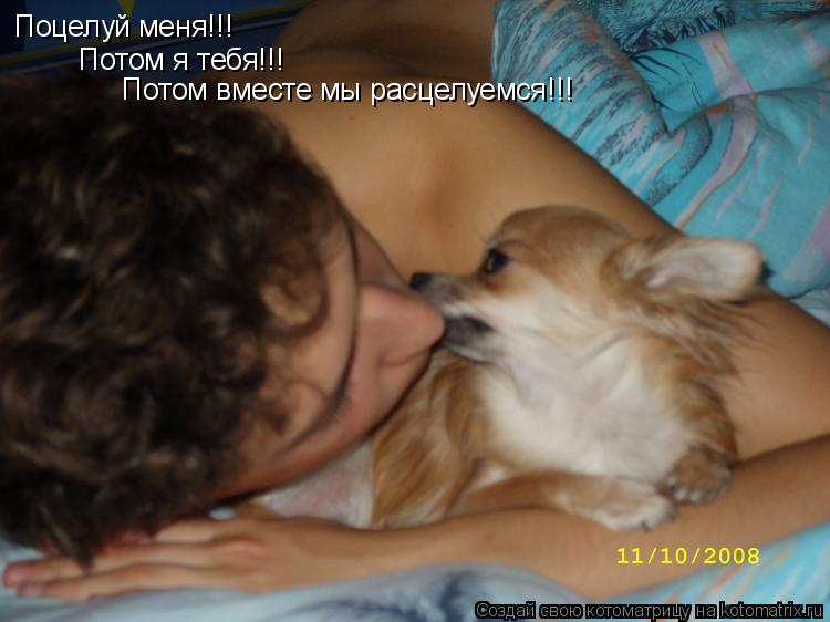 Поцелуй меня!!! Потом я тебя!!! Потом вместе мы расцелуемся!!!... Котоматрица: Поцелуй меня!!! Потом я тебя!!! Потом вместе мы расцелуемся!!!