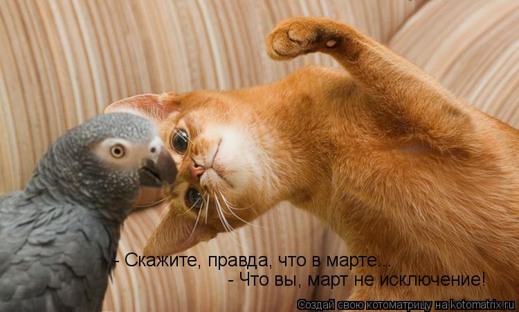 - Скажите, правда, что в марте... - Что вы, март не исключение!... Котоматрица: - Скажите, правда, что в марте... - Что вы, март не исключение!