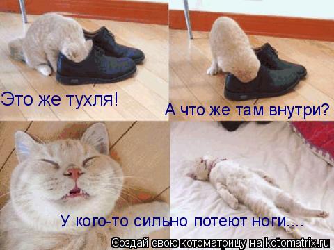 Это же тухля Это же тухля! А что же там внутри? У кого-то сильно потеют ноги....... Котоматрица: Это же тухля Это же тухля! А что же там внутри? У кого-то сильно потеют ноги....
