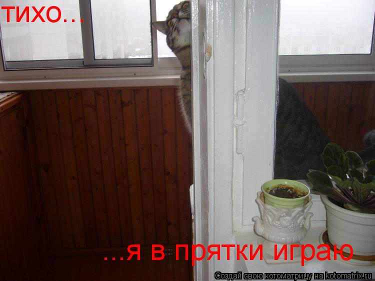 тихо... ...я в прятки играю... Котоматрица: тихо... ...я в прятки играю