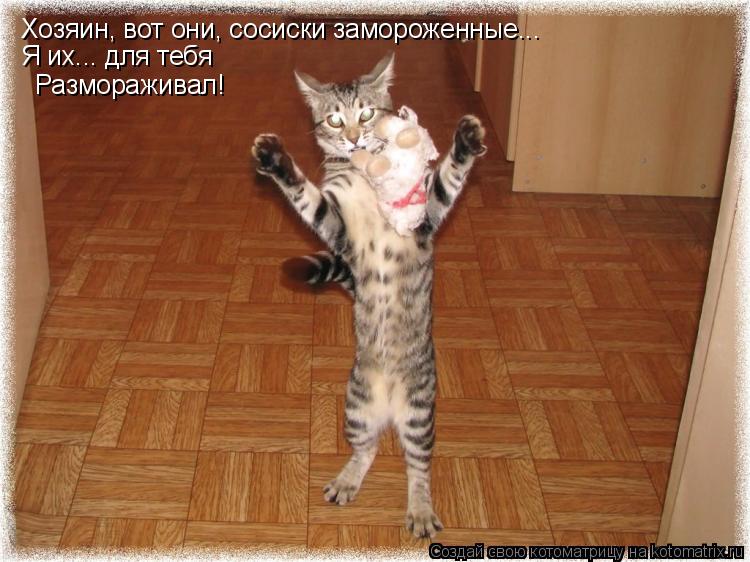 Хозяин, вот они, сосиски замороженные... Я их... для тебя Размораживал!... Котоматрица: Хозяин, вот они, сосиски замороженные... Я их... для тебя Размораживал!