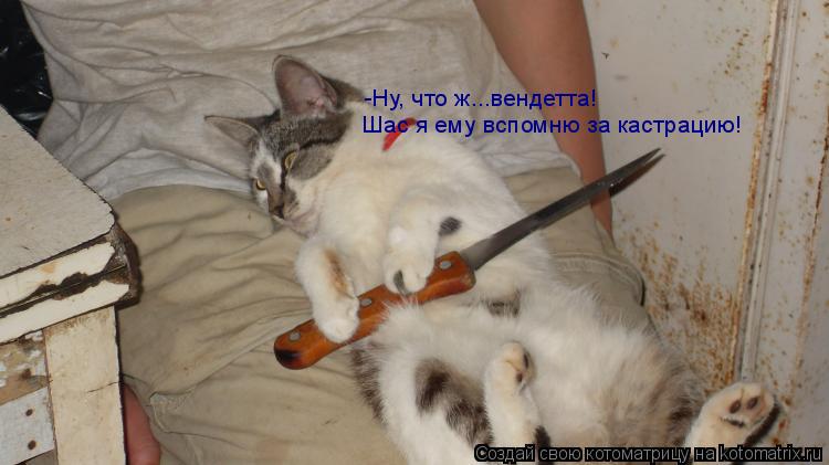 Котоматрица: -Ну, что ж...вендетта! Шас я ему вспомню за кастрацию!