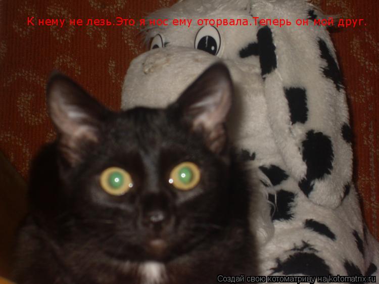 К нему не лезь.Это я нос ему оторвала.Теперь он мой друг.... Котоматрица: К нему не лезь.Это я нос ему оторвала.Теперь он мой друг.