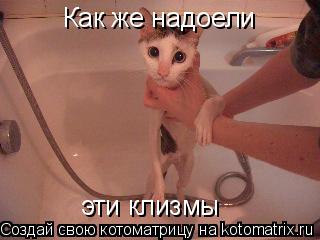 Как же надоели эти клизмы... Котоматрица: Как же надоели эти клизмы