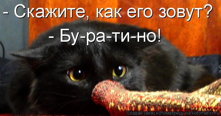 Котоматрица: - Скажите, как его зовут? - Бу-ра-ти-но!