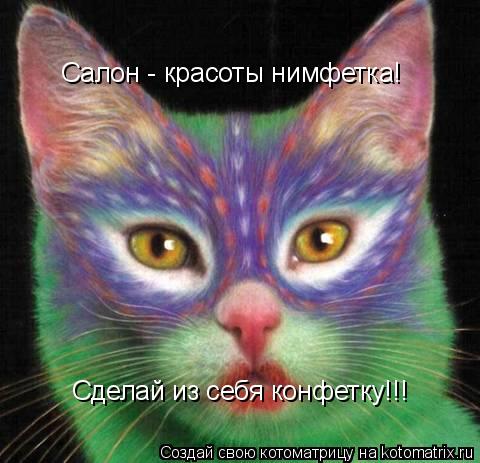 Салон - красоты нимфетка! Сделай из себя конфетку!!!... Котоматрица: Салон - красоты нимфетка! Сделай из себя конфетку!!!