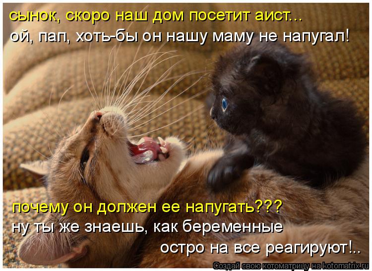 сынок, скоро наш дом посетит аист... ну ты же знаешь, как беременные остро на все реагируют!.. почем... Котоматрица: сынок, скоро наш дом посетит аист... ну ты же знаешь, как беременные остро на все реагируют!.. почему он должен ее напугать??? ой, пап, хоть-бы он