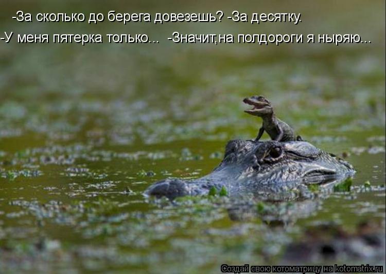 -За сколько до берега довезешь? -За десятку. -У меня пятерка только... -Значит,на полдороги я ныряю.... Котоматрица: -За сколько до берега довезешь? -За десятку. -У меня пятерка только... -Значит,на полдороги я ныряю...