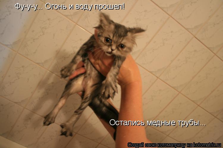 Фу-у-у... Огонь и воду прошел! Остались медные трубы...... Котоматрица: Фу-у-у... Огонь и воду прошел! Остались медные трубы...