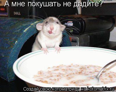 А мне покушать не дадите?... Котоматрица: А мне покушать не дадите?