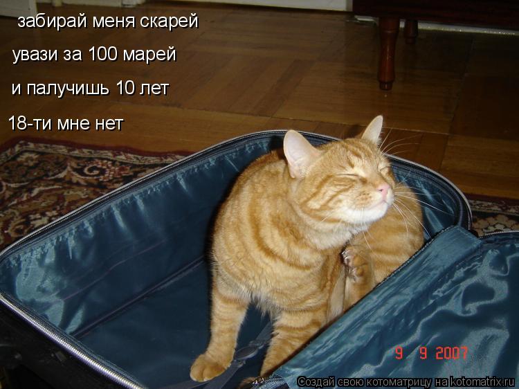 забирай меня скарей увази за 100 марей и палучишь 10 лет 18-ти мне нет... Котоматрица: забирай меня скарей увази за 100 марей и палучишь 10 лет 18-ти мне нет