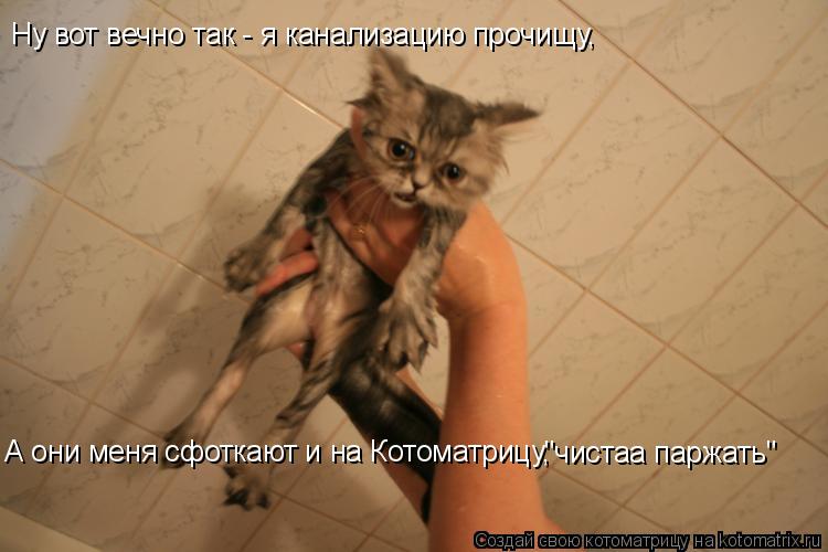 Ну вот вечно так - я канализацию прочищу, А они меня сфоткают и на Котоматрицу, "чистаа паржать"... Котоматрица: Ну вот вечно так - я канализацию прочищу, А они меня сфоткают и на Котоматрицу, "чистаа паржать"