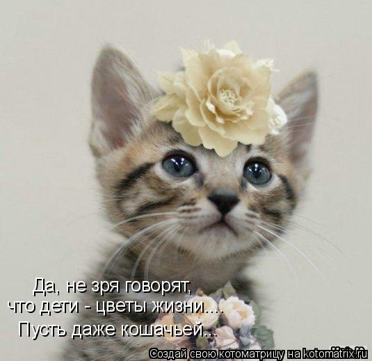 Котоматрица: Да, не зря говорят,  что дети - цветы жизни....  Пусть даже кошачьей...