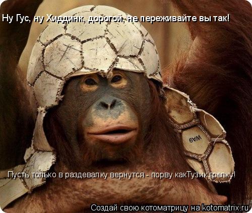 Ну Гус, ну Хиддинк, дорогой, не переживайте вы так! Пусть только в раздевалку вернутся - порву какТуз... Котоматрица: Ну Гус, ну Хиддинк, дорогой, не переживайте вы так! Пусть только в раздевалку вернутся - порву какТузик грелку!
