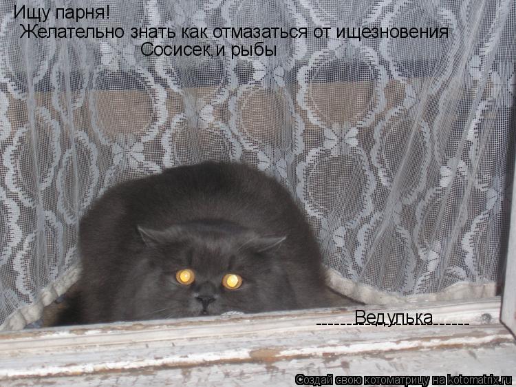 Ищу парня! Желательно знать как отмазаться от ищезновения Сосисек,и рыбы Ведулька -------------------... Котоматрица: Ищу парня! Желательно знать как отмазаться от ищезновения Сосисек,и рыбы Ведулька -------------------------