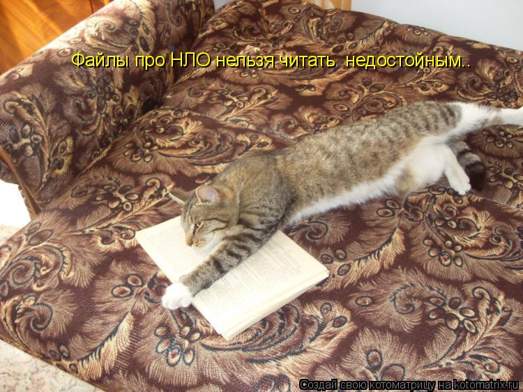 Файлы про НЛО нельзя читать недостойным..... Котоматрица: Файлы про НЛО нельзя читать недостойным..