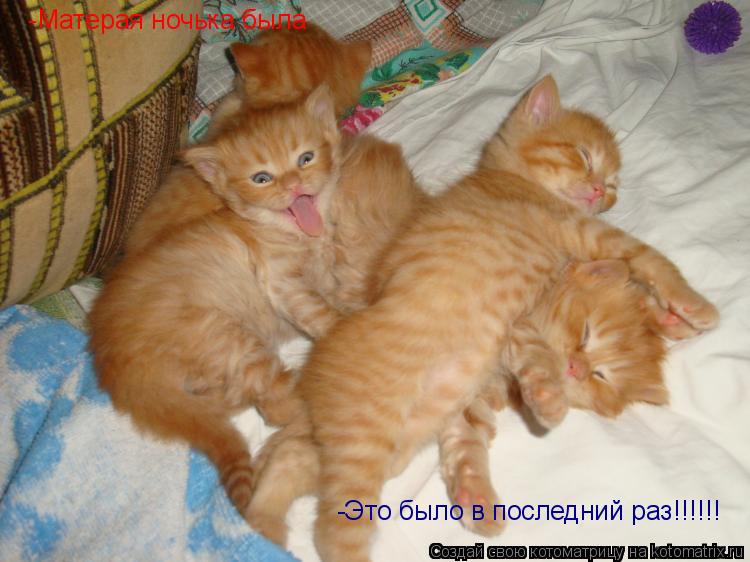 -Матерая ночька была -Это было в последний раз!!!!!!... Котоматрица: -Матерая ночька была -Это было в последний раз!!!!!!