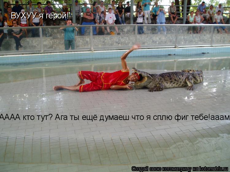 ВУХУУ я герой! АААА кто тут? Ага ты ещё думаеш что я сплю фиг тебе!ааам... Котоматрица: ВУХУУ я герой! АААА кто тут? Ага ты ещё думаеш что я сплю фиг тебе!ааам