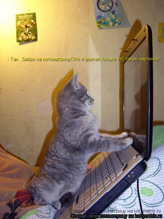 - Так...Зайди на котоматрицу!Это я зделал только что такую картинку! - Так...Зайди на котоматрицу!Это... Котоматрица: - Так...Зайди на котоматрицу!Это я зделал только что такую картинку! - Так...Зайди на котоматрицу!Это я зделал только что такую картинку! Созда