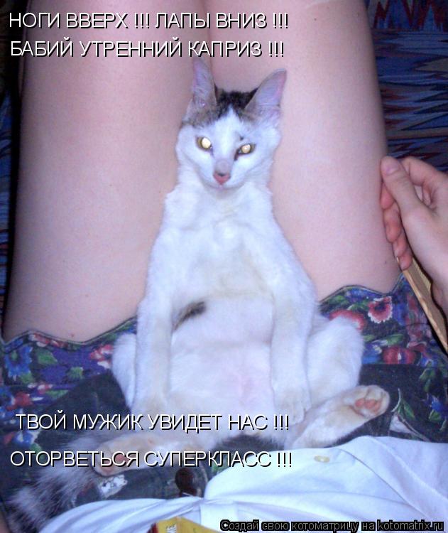 НОГИ ВВЕРХ !!! ЛАПЫ ВНИЗ !!! БАБИЙ УТРЕННИЙ КАПРИЗ !!! ТВОЙ МУЖИК УВИДЕТ НАС !!! ОТОРВЕТЬСЯ СУПЕРКЛАС... Котоматрица: НОГИ ВВЕРХ !!! ЛАПЫ ВНИЗ !!! БАБИЙ УТРЕННИЙ КАПРИЗ !!! ТВОЙ МУЖИК УВИДЕТ НАС !!! ОТОРВЕТЬСЯ СУПЕРКЛАСС !!!