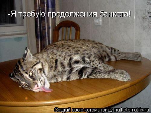 -Я требую продолжения банкета!... Котоматрица: -Я требую продолжения банкета!