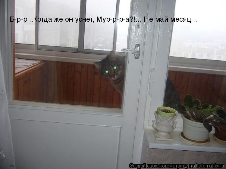 Б-р-р...Когда же он уснет, Мур-р-р-а?!... Не май месяц...... Котоматрица: Б-р-р...Когда же он уснет, Мур-р-р-а?!... Не май месяц...