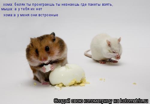 хома: беляк ты проеграешь ты незнаешь где пакеты взять, мыша: а у тебя их нет хома:а у меня они встр... Котоматрица: хома: беляк ты проеграешь ты незнаешь где пакеты взять, мыша: а у тебя их нет хома:а у меня они встроеные