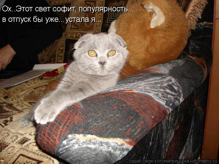Котоматрица: Ох..Этот свет софит, популярность... в отпуск бы уже...устала я...