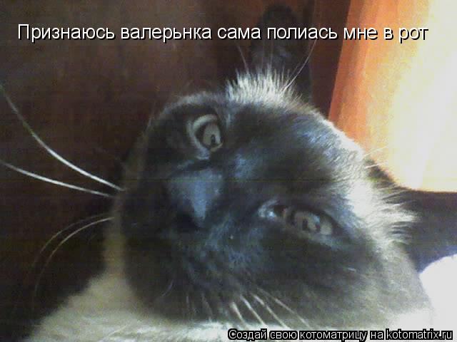 Признаюсь валерьнка сама полиась мне в рот... Котоматрица: Признаюсь валерьнка сама полиась мне в рот