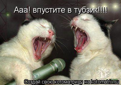 Котоматрица: Ааа! впустите в тубзик!!!!
