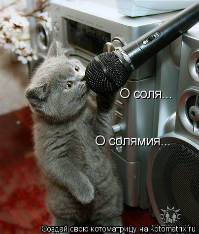 О соля... О солямия...... Котоматрица: О соля... О солямия...