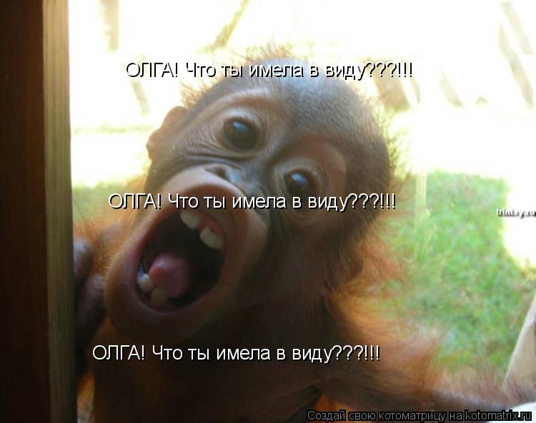 ОЛГА! Что ты имела в виду???!!! ОЛГА! Что ты имела в виду???!!! ОЛГА! Что ты имела в виду???!!!... Котоматрица: ОЛГА! Что ты имела в виду???!!! ОЛГА! Что ты имела в виду???!!! ОЛГА! Что ты имела в виду???!!!