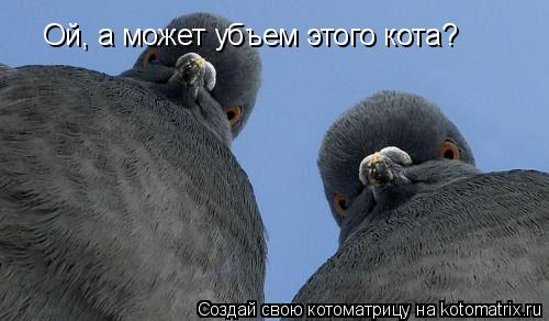Ой, а может убъем этого кота?... Котоматрица: Ой, а может убъем этого кота?