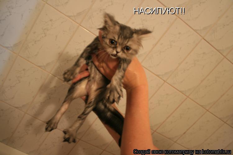 НАСИЛУЮТ!!... Котоматрица: НАСИЛУЮТ!!