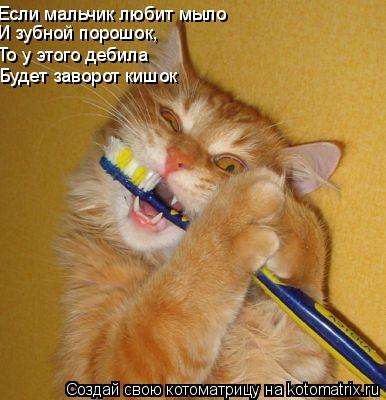 Если мальчик любит мыло И зубной порошок, То у этого дебила Будет заворот кишок... Котоматрица: Если мальчик любит мыло И зубной порошок, То у этого дебила Будет заворот кишок