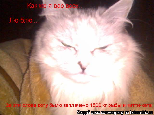 Как же я вас всех.. Лю-блю... За эти слова коту было заплачено 1500 кг рыбы и китти-кета... Котоматрица: Как же я вас всех.. Лю-блю... За эти слова коту было заплачено 1500 кг рыбы и китти-кета