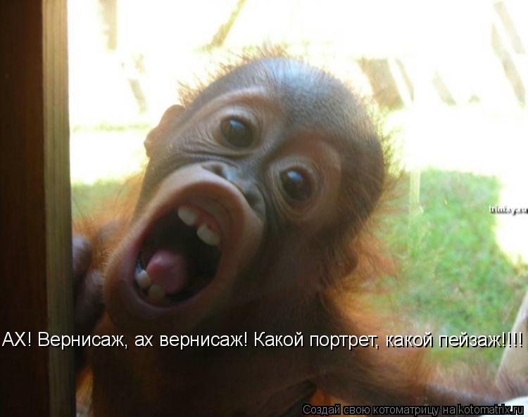АХ! Вернисаж, ах вернисаж! Какой портрет, какой пейзаж!!!!... Котоматрица: АХ! Вернисаж, ах вернисаж! Какой портрет, какой пейзаж!!!!
