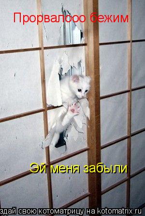 Прорвалооо бежим Эй меня забыли... Котоматрица: Прорвалооо бежим Эй меня забыли